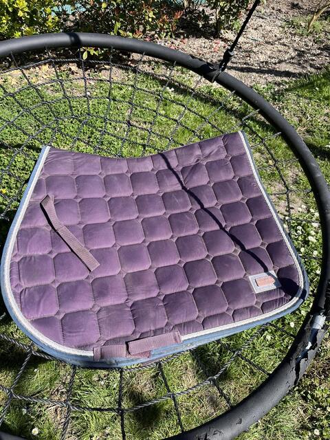 Tapis violet Félix Brühler