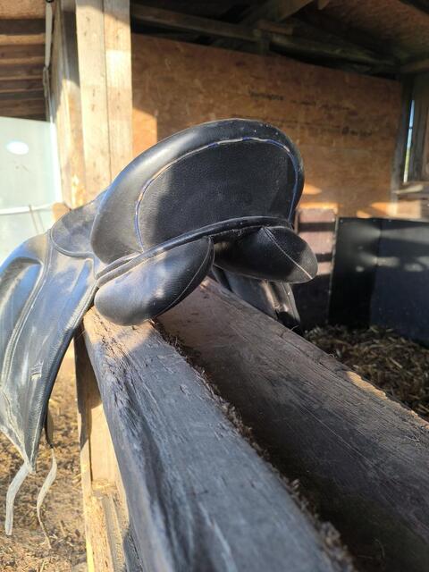 Selle de dressage