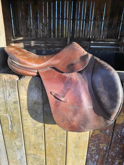 Selle obstacle bruno Delagrange