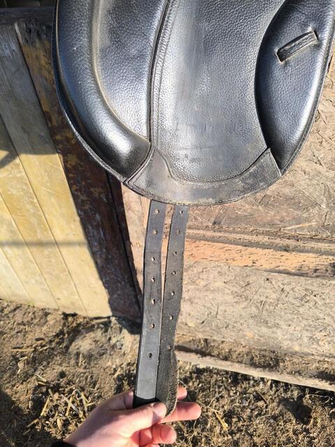 Selle de dressage