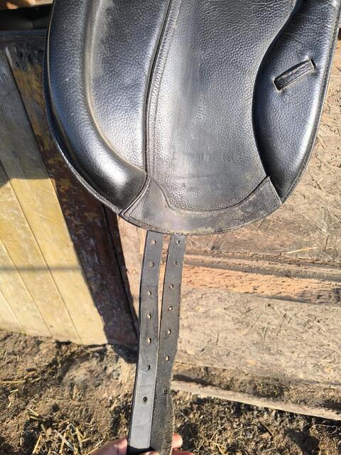 Selle de dressage