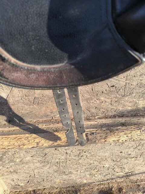 Selle de dressage