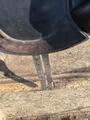 Selle de dressage