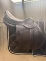 Selle forestier prems