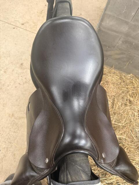 Selle forestier prems