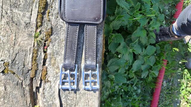 Sangle prolite