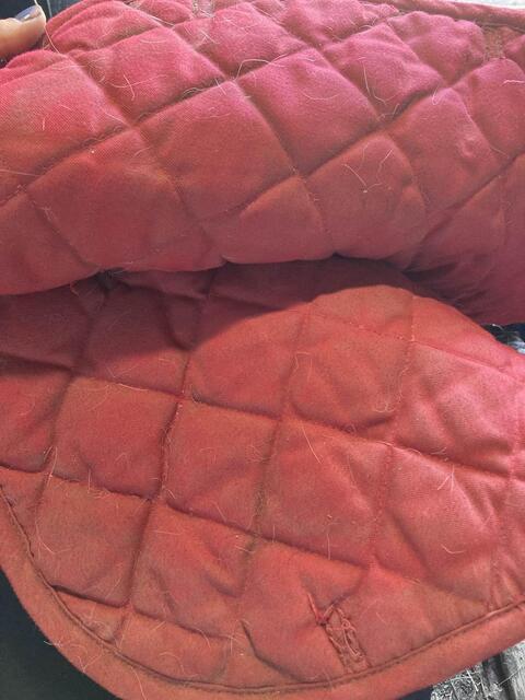 tapis rouge