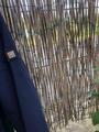 Veste de concours Equiline