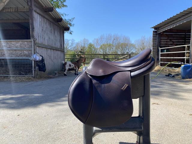 Selles forestier sellier
