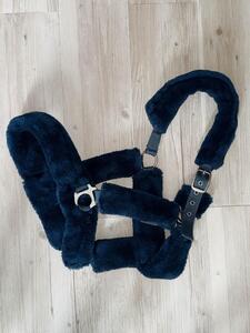 Licol Bleu Showmaster