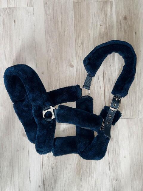 Licol Bleu Showmaster