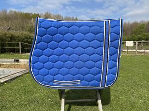 tapis équitheme bleu