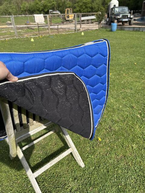 tapis équitheme bleu