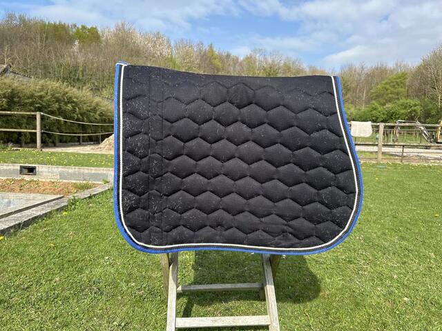 tapis équitheme bleu