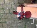 Collier de chasse (bricole)