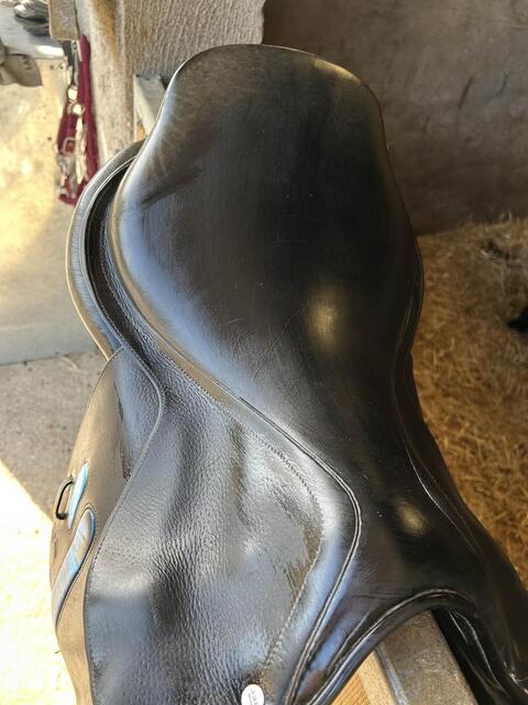 selle gbs