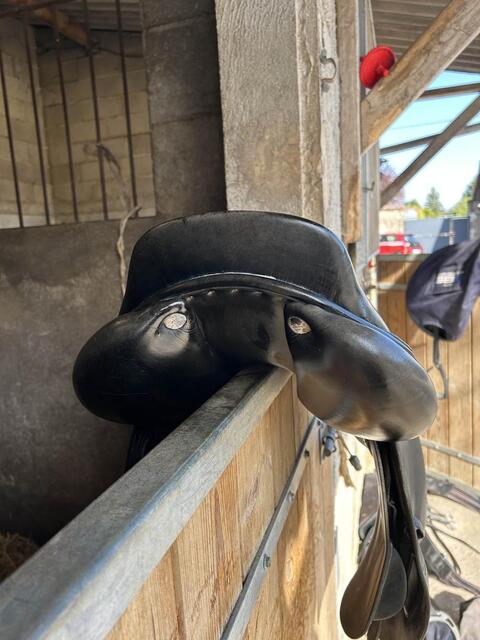 selle gbs