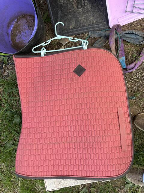 tapis Kentucky