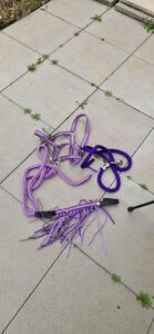 assortiment taille poney violet