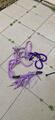 assortiment taille poney violet