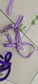 assortiment taille poney violet