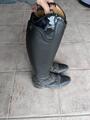botte d’équitation