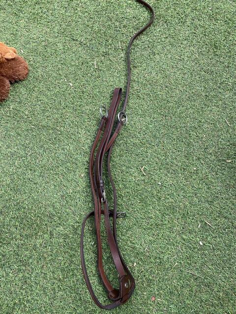 Martingale Antares