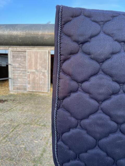 Tapis