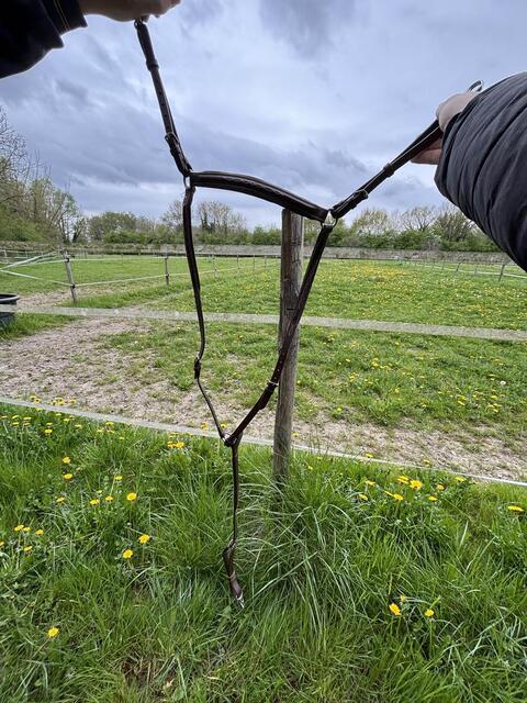 collier de chasse avec raccord ( martingale)