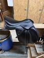 selle wintec 17’