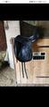 Selle dressage Antares signature 17'5