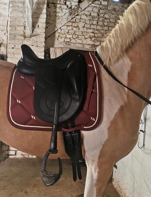 Selle dressage Antares signature 17'5
