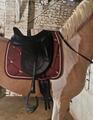 Selle dressage Antares signature 17'5
