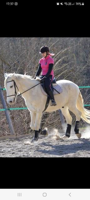 Polo manches courtes Fouganza