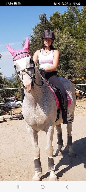 Ensemble dressage HV Polo rose tapis-bonnet-bandes
