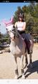 Ensemble dressage HV Polo rose tapis-bonnet-bandes
