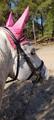 Ensemble dressage HV Polo rose tapis-bonnet-bandes