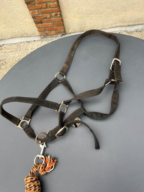 licol noir+ longe orange