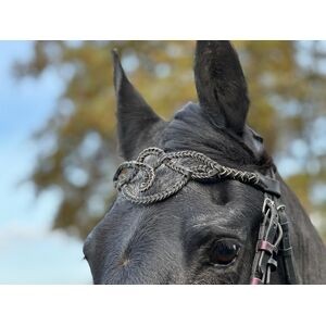 Frontal cheval