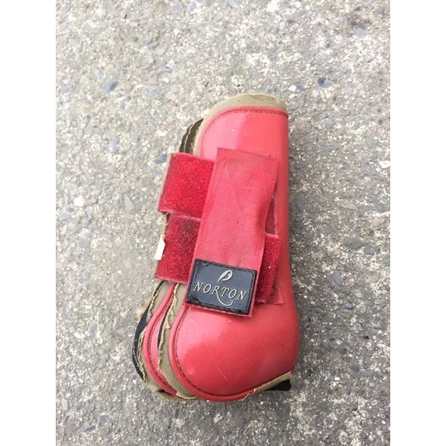 Protections taille cheval