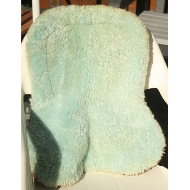 Amortisseur Mouton CSO