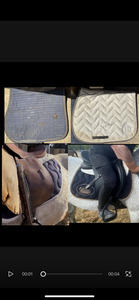 Tapis de selle