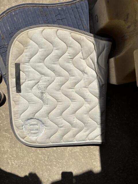 Tapis de selle