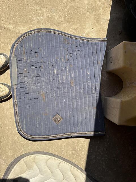 Tapis de selle