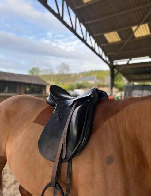 Selle dressage Kieffer