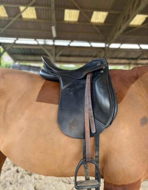 Selle dressage Kieffer