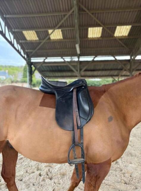 Selle dressage Kieffer