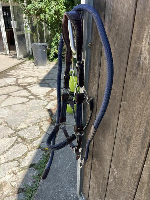 Licol et longe Silver Crown