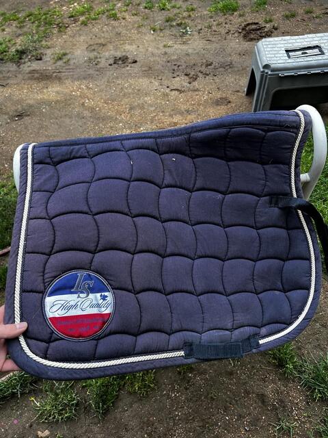 Tapis