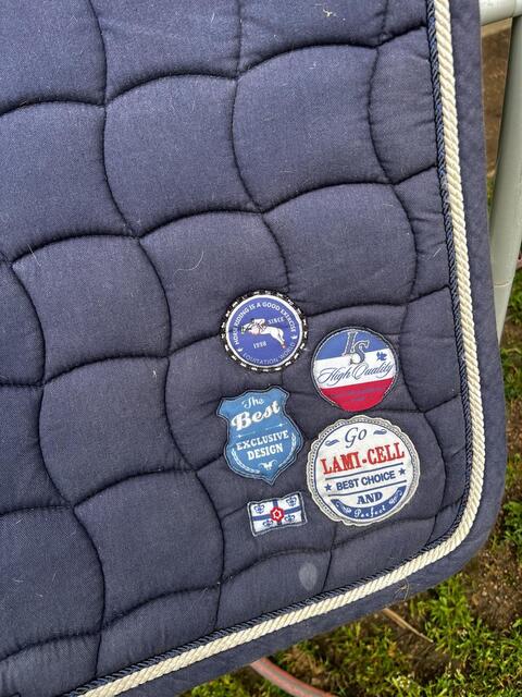 Tapis